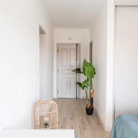 Apartment Surf *